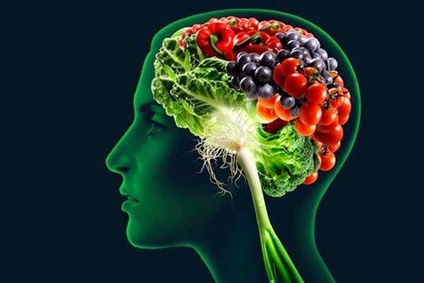 16 продуктов, повышающих производительность мозга