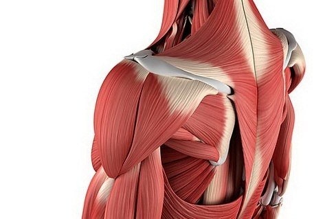 Почему болят мышцы после долгого перерыва?