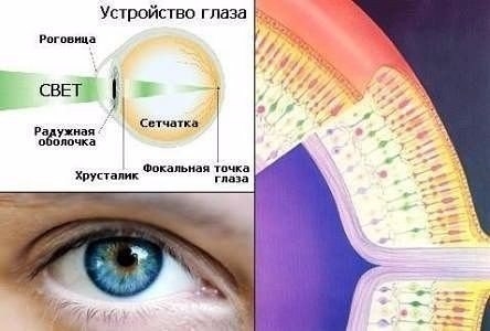Методика улучшения зрения
