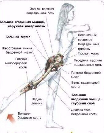 Все о тренинге ягодиц‼ 1 Все о тренинге ягодиц‼ 1