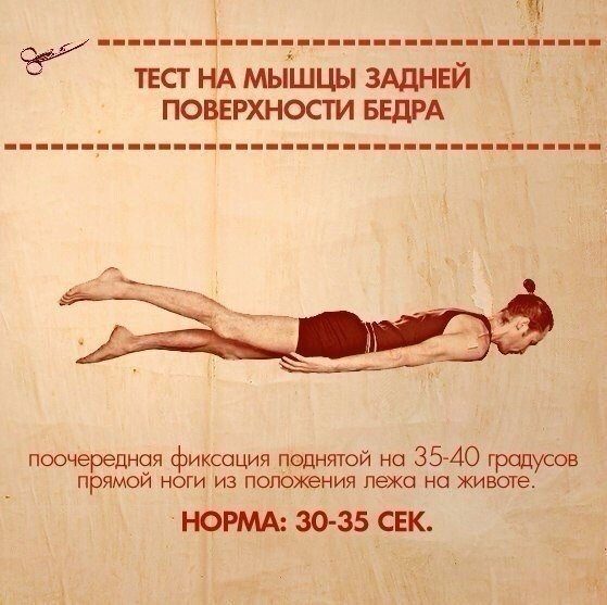 ТЕСТЫ НА ФУНКЦИОНАЛЬНУЮ СЛАБОСТЬ МЫШЦ ТЕСТЫ НА ФУНКЦИОНАЛЬНУЮ СЛАБОСТЬ МЫШЦ