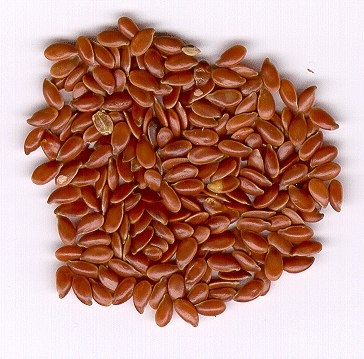 Какие пророщенные зерна наиболее полезны?