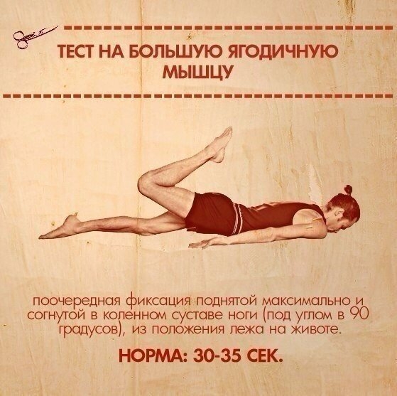 ТЕСТЫ НА ФУНКЦИОНАЛЬНУЮ СЛАБОСТЬ МЫШЦ ТЕСТЫ НА ФУНКЦИОНАЛЬНУЮ СЛАБОСТЬ МЫШЦ