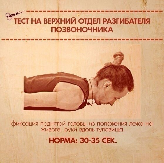 ТЕСТЫ НА ФУНКЦИОНАЛЬНУЮ СЛАБОСТЬ МЫШЦ ТЕСТЫ НА ФУНКЦИОНАЛЬНУЮ СЛАБОСТЬ МЫШЦ