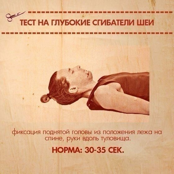 ТЕСТЫ НА ФУНКЦИОНАЛЬНУЮ СЛАБОСТЬ МЫШЦ ТЕСТЫ НА ФУНКЦИОНАЛЬНУЮ СЛАБОСТЬ МЫШЦ