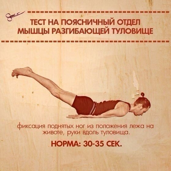 ТЕСТЫ НА ФУНКЦИОНАЛЬНУЮ СЛАБОСТЬ МЫШЦ ТЕСТЫ НА ФУНКЦИОНАЛЬНУЮ СЛАБОСТЬ МЫШЦ