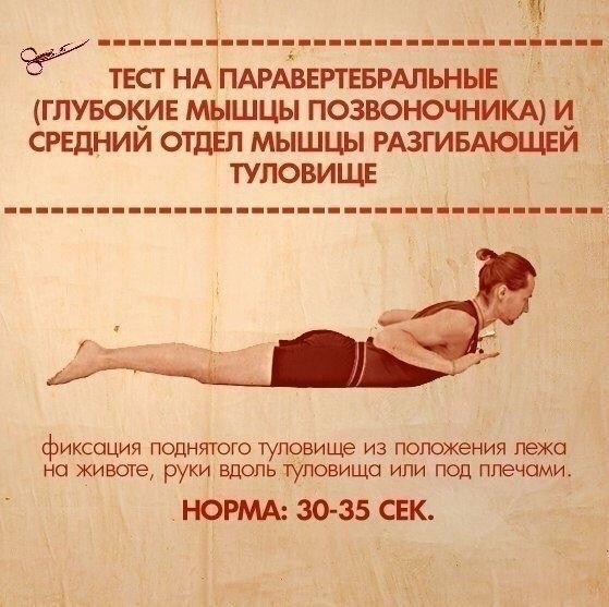 ТЕСТЫ НА ФУНКЦИОНАЛЬНУЮ СЛАБОСТЬ МЫШЦ ТЕСТЫ НА ФУНКЦИОНАЛЬНУЮ СЛАБОСТЬ МЫШЦ