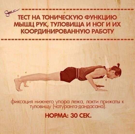 ТЕСТЫ НА ФУНКЦИОНАЛЬНУЮ СЛАБОСТЬ МЫШЦ ТЕСТЫ НА ФУНКЦИОНАЛЬНУЮ СЛАБОСТЬ МЫШЦ