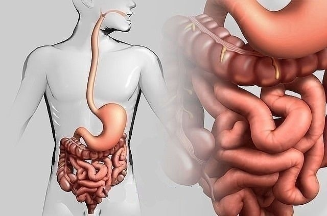 ДЕРЖИ КИШЕЧНИК В ЧИСТОТЕ! ДЕРЖИ КИШЕЧНИК В ЧИСТОТЕ!