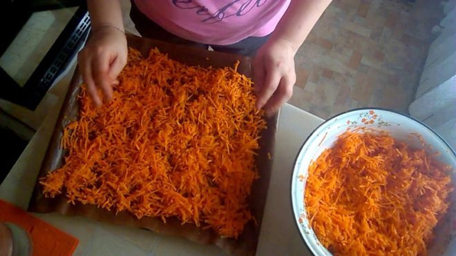 Чем полезен морковный чай и как его сделать? Чем полезен морковный чай и как его сделать?