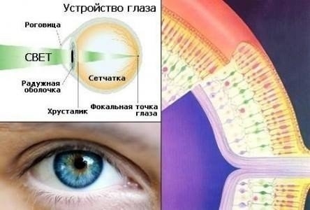 Методика улучшения зрения