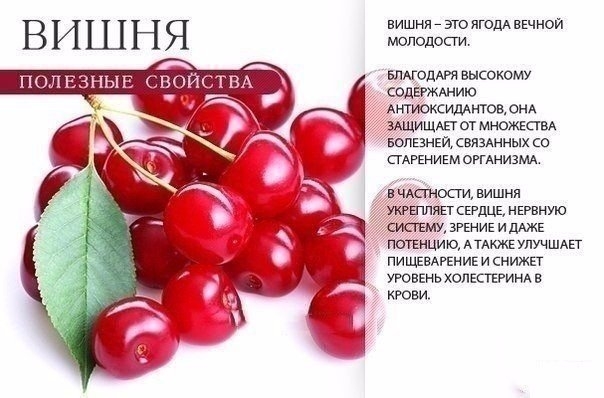 Польза красных продуктов