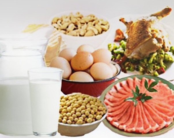 ТОП-10 белковых продуктов для похудения