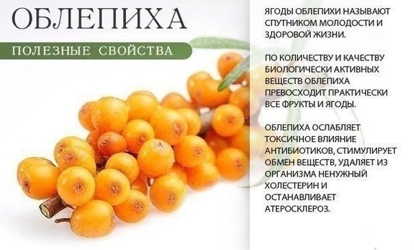 ПОЛЬЗА ОРАНЖЕВЫХ ПРОДУКТОВ