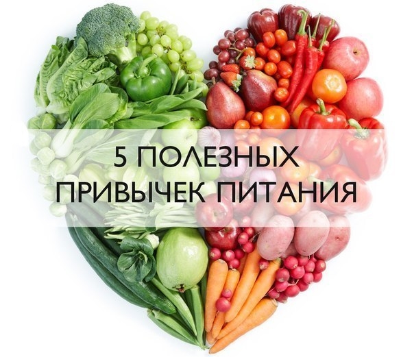 5 полезных привычек питания 5 полезных привычек питания