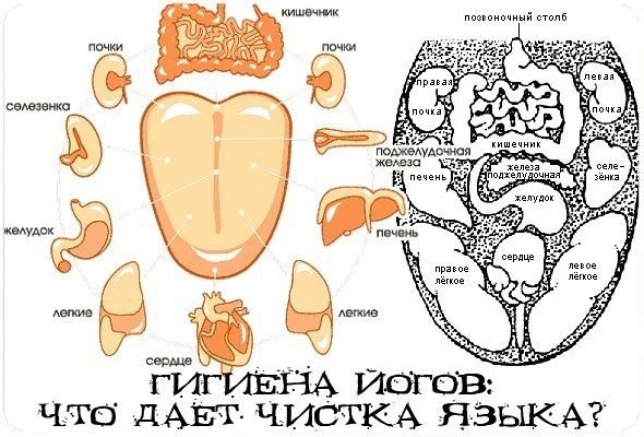 Что дает чистка языка?