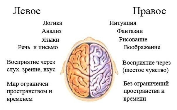 Тренировать нужно не только тело. Упражнение ума для развития мозга. Тренировать нужно не только тело. Упражнение ума для развития мозга.