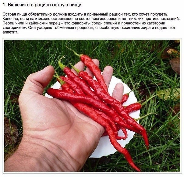 Полезные привычки здорового человека Полезные привычки здорового человека