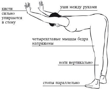 Жесткие подколенные сухожилия - ловушка для спины. Жесткие подколенные сухожилия - ловушка для спины.