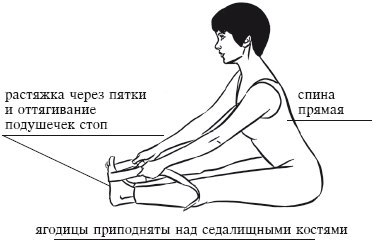 Жесткие подколенные сухожилия - ловушка для спины. Жесткие подколенные сухожилия - ловушка для спины.
