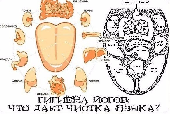 Что дает чистка языка?