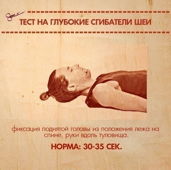 Тесты на функциональную слабость мышц Тесты на функциональную слабость мышц