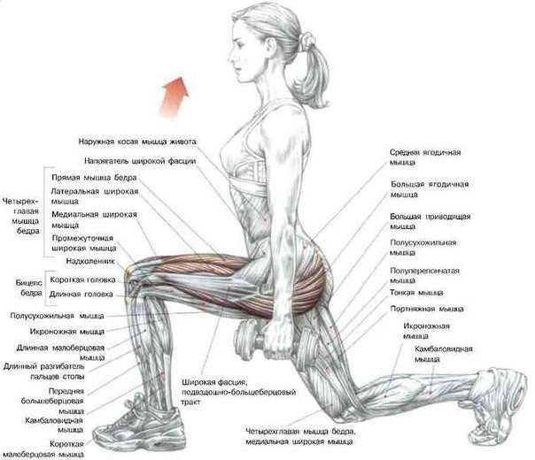 Выпады. Хорошее упражнение для твоих ног. Делай его правильно!