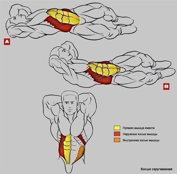 Упражнения на пресс