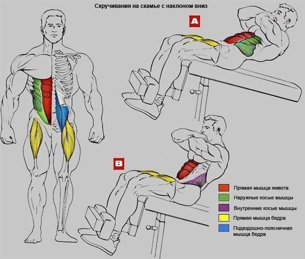 Упражнения на пресс