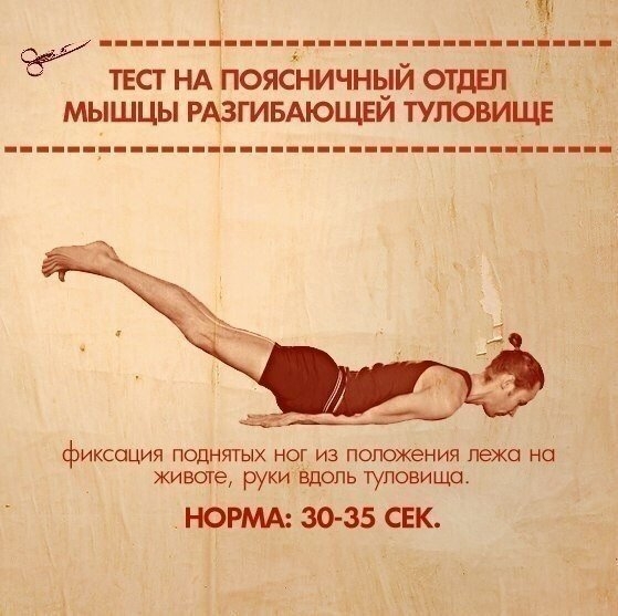 Тесты на функциональную слабость мышц Тесты на функциональную слабость мышц
