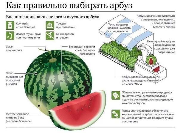 Хороший источник углеводов летом