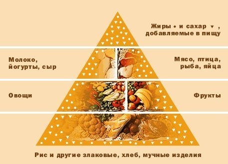 Пирамида здорового питания Пирамида здорового питания