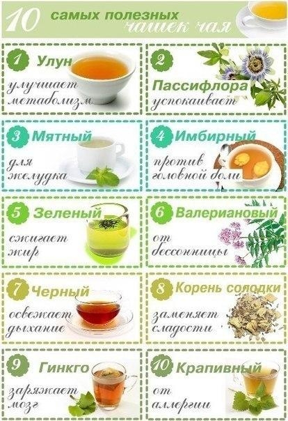10 самых полезных чашек чая 10 самых полезных чашек чая