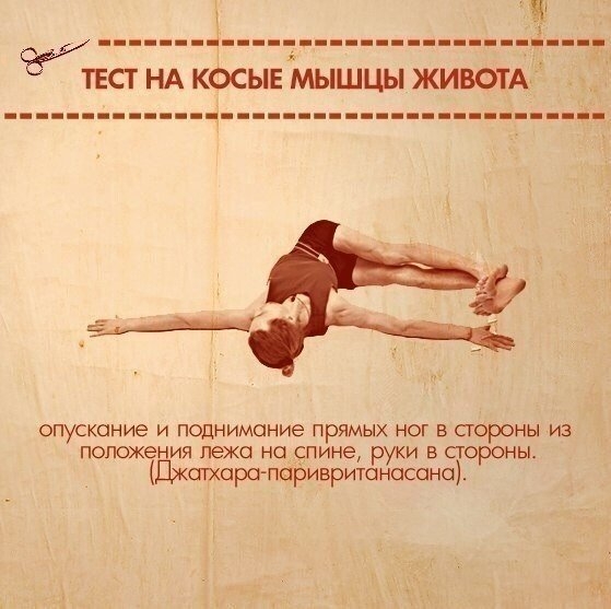 Тесты на функциональную слабость мышц Тесты на функциональную слабость мышц
