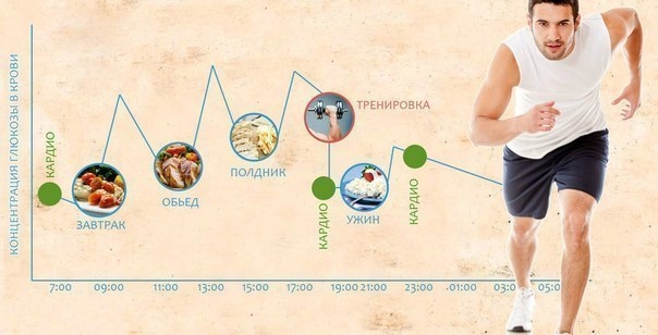 Кардио: вечером или утром?