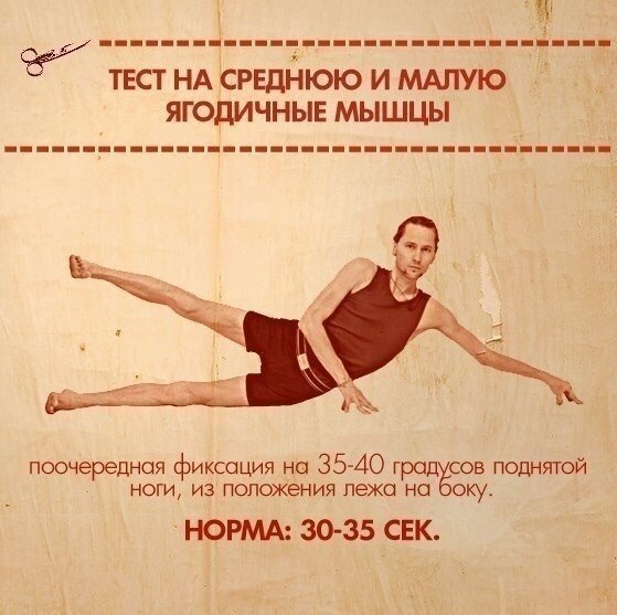 Тесты на функциональную слабость мышц Тесты на функциональную слабость мышц