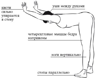 Жесткие подколенные сухожилия - ловушка для спины. Жесткие подколенные сухожилия - ловушка для спины.