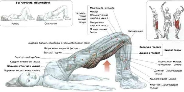 Как правильно приседать