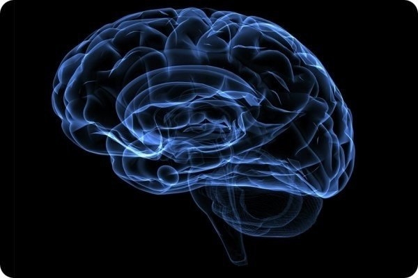 10 вещей, отрицательно влияющих на мозг