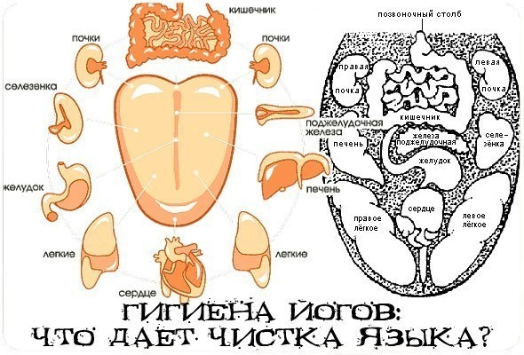 Что дает чистка языка?