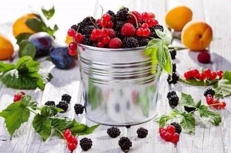 Плодовые косточки иногда полезнее, чем сами фрукты Плодовые косточки иногда полезнее, чем сами фрукты