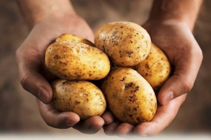 Полезные свойства картофеля.