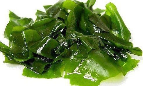 Водоросли для красоты лица Водоросли для красоты лица