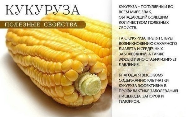 Польза оранжевых продуктов