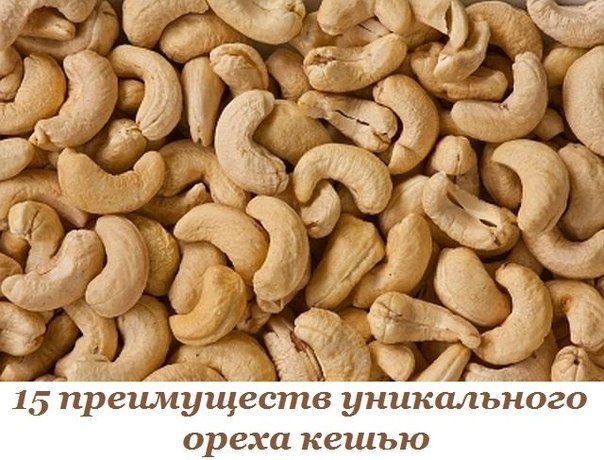 15 преимуществ уникального ореха кешью, о которых нужно знать. 15 преимуществ уникального ореха кешью, о которых нужно знать.