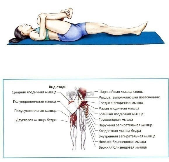 Упражнения на растяжку и гибкость.