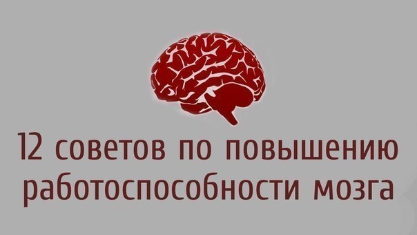 12 советов по повышению работоспособности мозга 12 советов по повышению работоспособности мозга