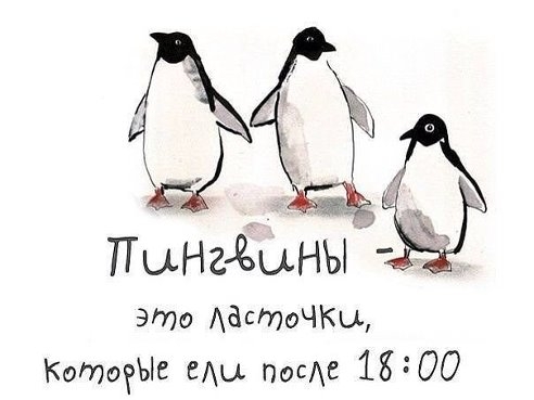 Что можно есть после 6 вечера? Что можно есть после 6 вечера?