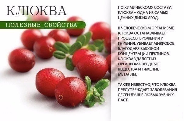 Польза красных продуктов