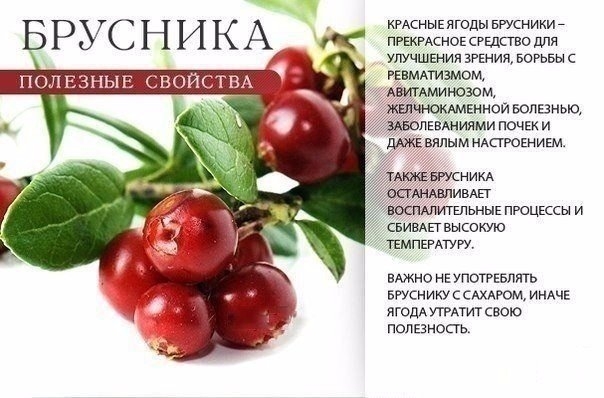 Польза красных продуктов